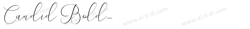 Candid Bold字体转换